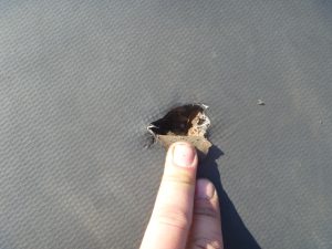 Small hole in roof exposing wood paneling