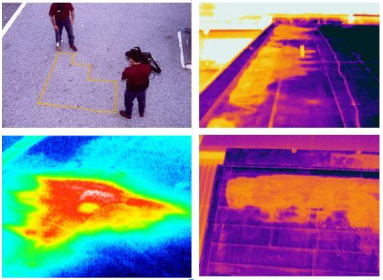 series of images showing results of infared scanning